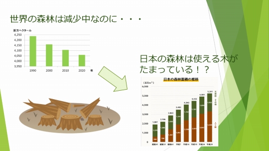 織田ファッション専門学校_八王子と森林減少問題を関連付けたスライド